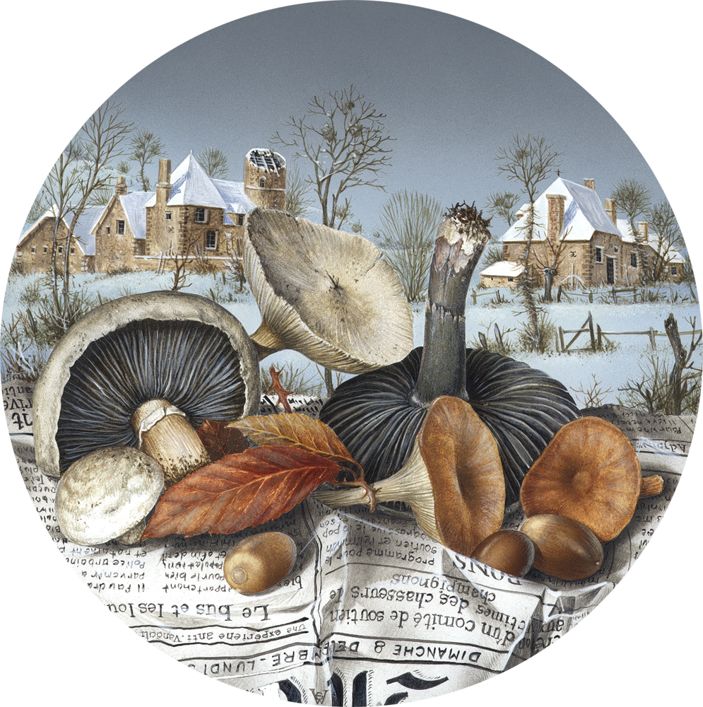 05_LA DERNIÈRE CUEILLETTE